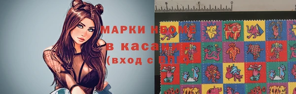 твердый Краснослободск