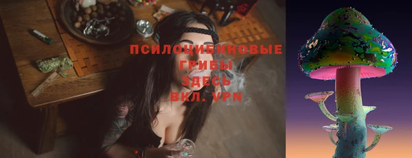 твердый Краснослободск
