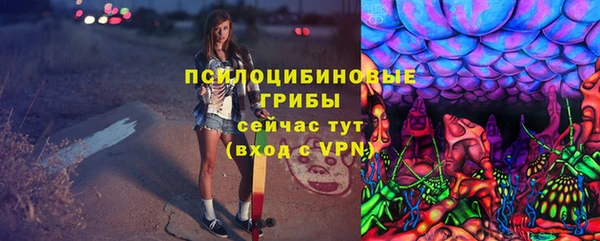 мдпв Краснотурьинск