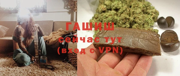 твердый Краснослободск