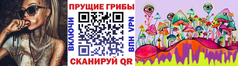 Псилоцибиновые грибы Magic Shrooms  Ковылкино 